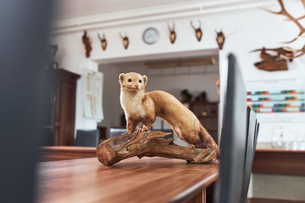 Unrau Fotografie