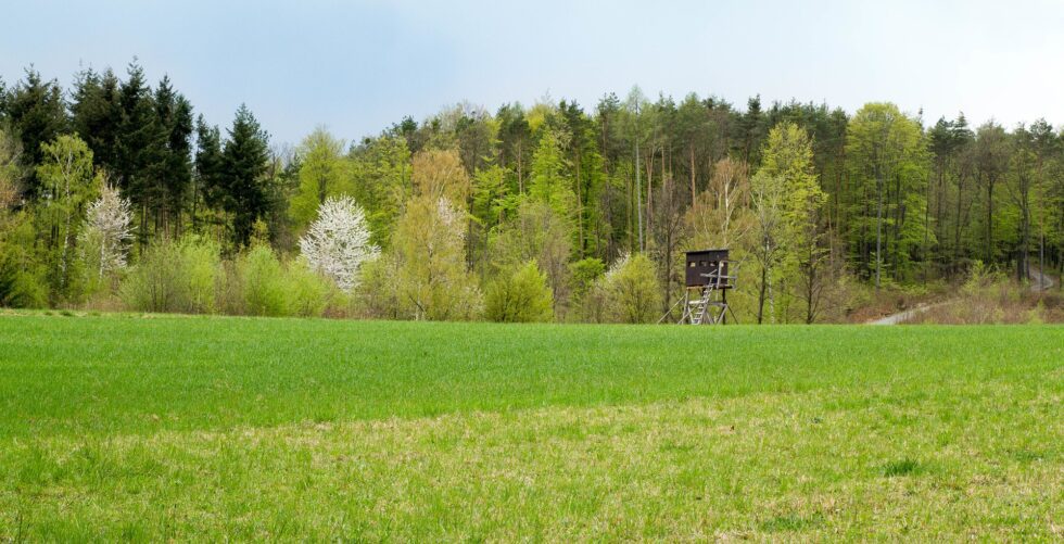landscape-5045087_1920-980x501