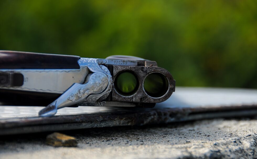 rifle-2043676_1920-980x607